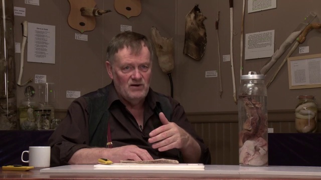 Video Reference: Conversation, Person