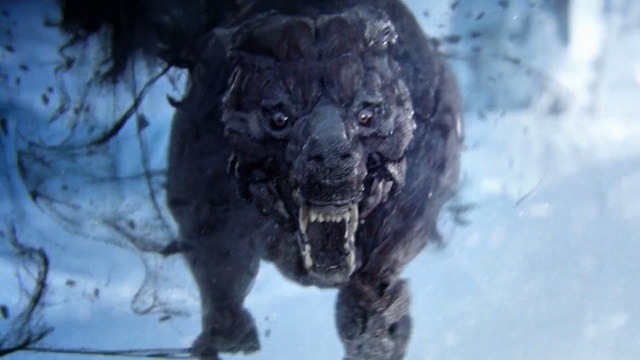 Video Reference: Snout, Canidae, Organism, Dog breed, Sporting Group, Carnivore, Non-Sporting Group, Snow