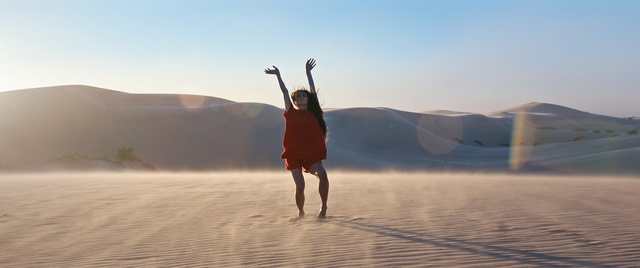 Video Reference: sand, desert, sky, aeolian landform, vacation, erg, landscape, dune, sahara, ecoregion, Person