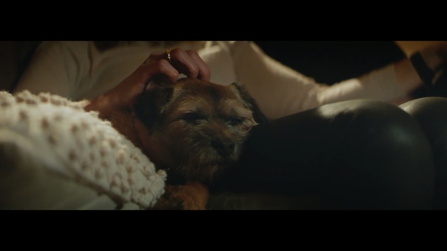 Video Reference: dog, dog like mammal, dog breed, snout, screenshot, carnivoran, puppy, whiskers, ear, darkness, Person