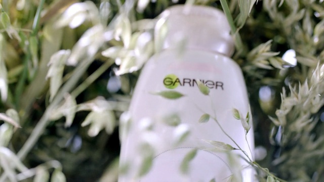 Video Reference: flower, vascular plant, plant, flowers