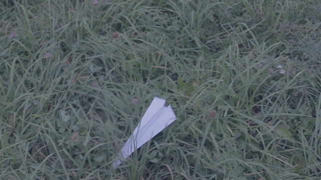 Video Reference: Grass, Grass, Plant, Person