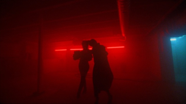 Video Reference: red, light, darkness, lighting, performance art, event, night, midnight, scene, darkroom