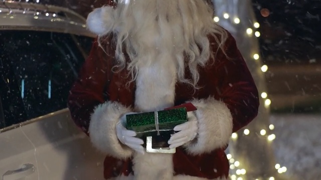 Video Reference: Santa claus, Fur, Christmas, Fictional character, Fur clothing, Holiday, Long hair