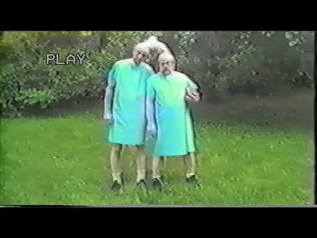 Video Reference: clothing, green, ecosystem, grass, nature, mammal, human hair color, vertebrate, lawn, dress