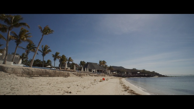 Video Reference: Beach, Sea, Sky, Shore, Tree, Coast, Palm tree, Sand, Ocean, Vacation