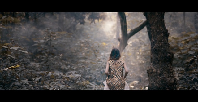 Video Reference: tree, screenshot, sunlight, atmosphere, sky, forest, darkness, woodland, landscape, branch, Person