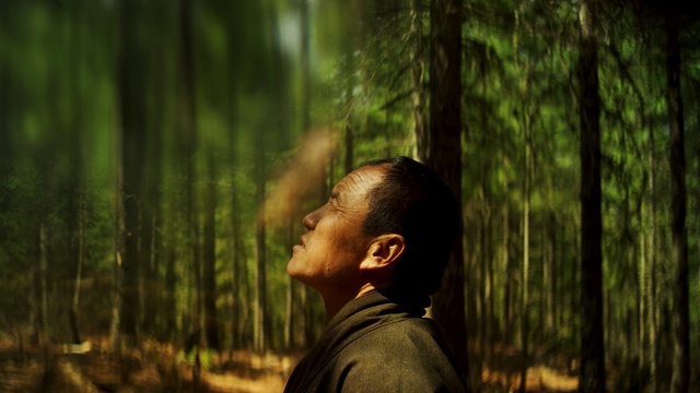 Video Reference: People in nature, Green, Forest, Nature, Tree, Natural environment, Jungle, Old-growth forest, Woodland, Leaf, Person