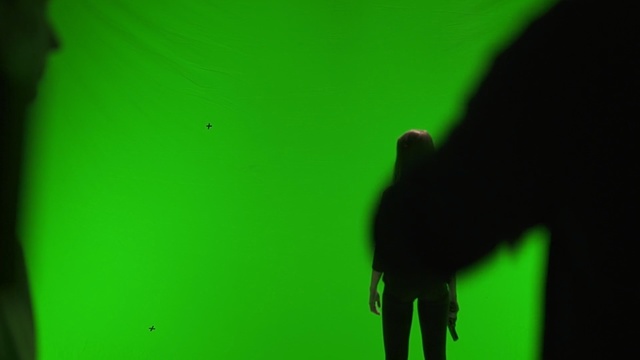 Video Reference: Green, Black, Shadow, Light, Yellow, Macro photography, Silhouette, Leaf, Photography, Grass