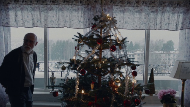 Video Reference: Christmas tree, Christmas, Christmas decoration, Tree, Colorado spruce, Christmas ornament, Spruce, Christmas eve, Woody plant, Interior design