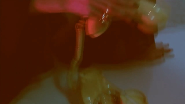 Video Reference: yellow, close up, macro photography, petal, mouth, hand, finger, computer wallpaper, still life photography