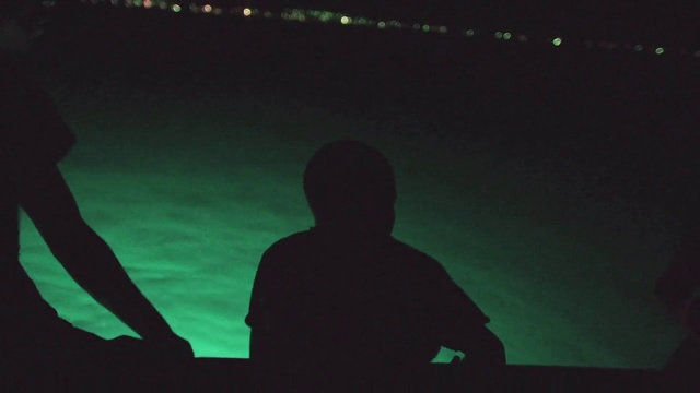 Video Reference: Black, Green, Sky, Darkness, Night, Photography, Technology, Performance, Space, Silhouette