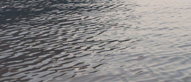 Video Reference: Water, Sand, Sea, Wave, Pattern