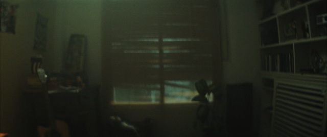 Video Reference: darkness, light, snapshot, glass, midnight, window, night, house