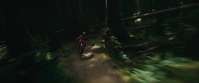 Video Reference: Nature, Natural environment, Darkness, Pc game, Downhill mountain biking, Freeride, Tree, Biome, Screenshot, Forest