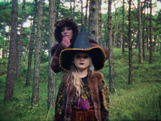 Video Reference: People in nature, Forest, Natural environment, Woodland, Tree, Wilderness, Old-growth forest, Jungle, Leaf, Smile