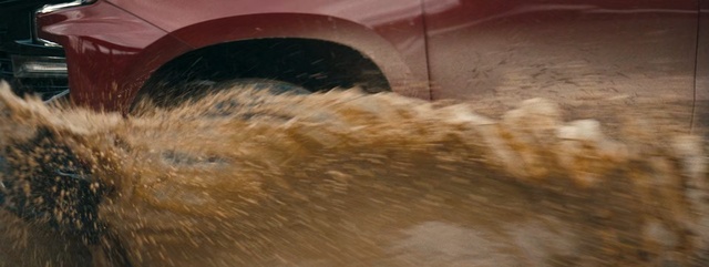 Video Reference: Fur, Snout