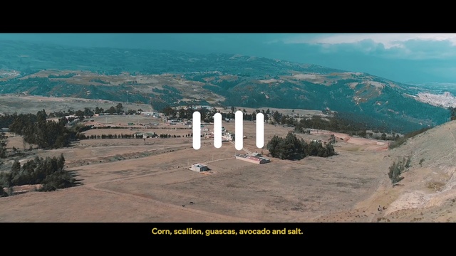 Video Reference: Landmark, Historic site, Architecture, Unesco world heritage site, Photography, Monument, Wonders of the world, Aerial photography, Column, Archaeological site