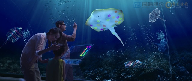 Video Reference: Marine biology, Organism, Fun, Aquarium, Underwater, Jellyfish, Space, Cnidaria, World, Freshwater aquarium