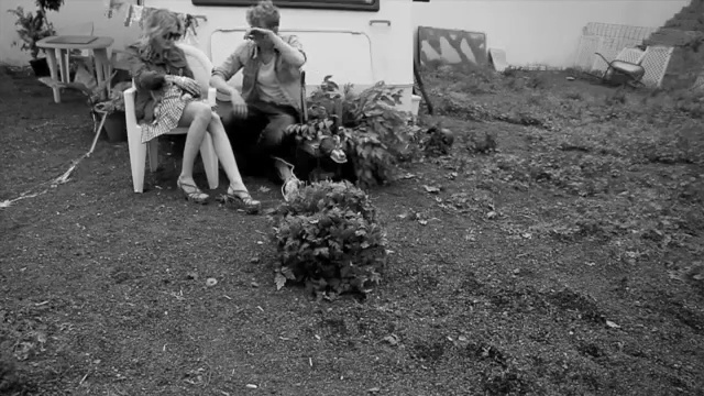 Video Reference: Photograph, Snapshot, Monochrome photography, Monochrome, Black-and-white, Photography, Tree, Soil, Adaptation, Plant
