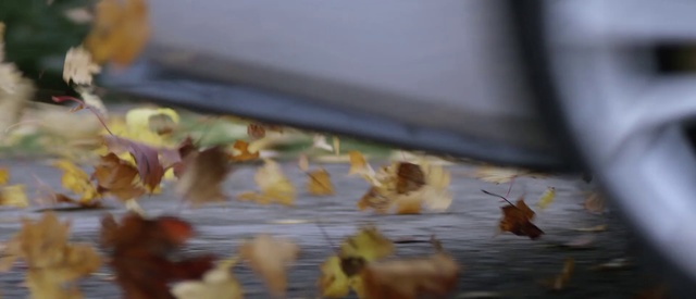 Video Reference: Yellow, Leaf