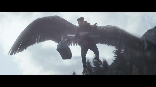 Video Reference: sky, geological phenomenon, screenshot, beak, bird of prey, vulture, condor, eagle