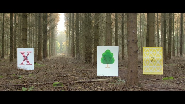 Video Reference: green, nature, woodland, forest, tree, ecosystem, nature reserve, grass, biome, wood, Person