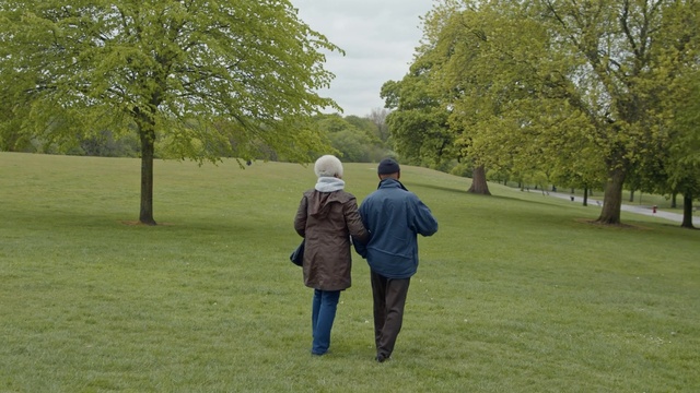 Video Reference: Walking, Tree, Grass, Grassland, Fun, Park, Lawn, Meadow, Recreation, Plant