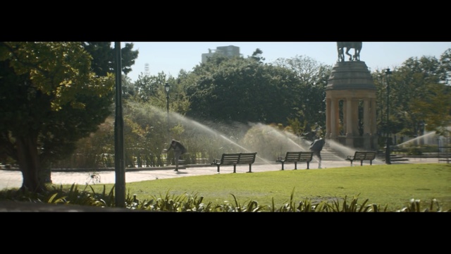 Video Reference: Nature, Atmospheric phenomenon, Morning, Grass, Water, Tree, Lawn, Rural area, Land lot, Sky, Person