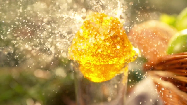 Video Reference: Water, Yellow, Macro photography, Flower, Moisture, Plant, Pollen, Photography, Drop, Wildflower