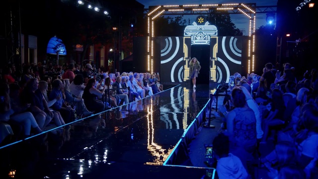 Video Reference: Stage, Performance, Event, Lighting, Crowd, Purple, Night, Electric blue, Music venue, Audience