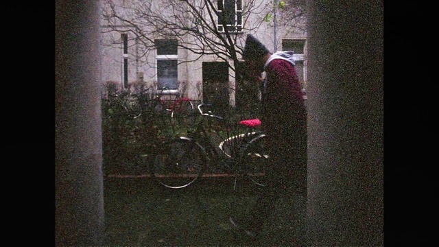 Video Reference: Bicycle, Tree, Vehicle, Window, Bicycle wheel, Photography, Plant, Bicycle accessory