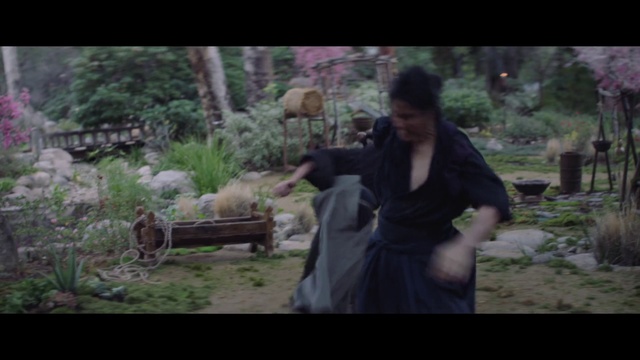 Video Reference: Photograph, Nature, Movie, Lady, Adaptation, Human, Photography, Tree, Jungle, Forest