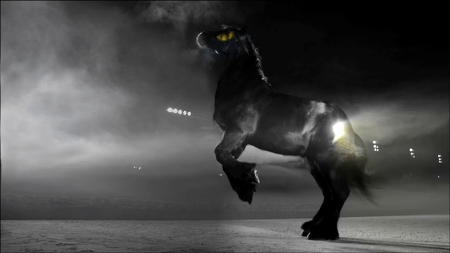Video Reference: Horse, Black, Mane, Black-and-white, Stallion, Sky, Monochrome photography, Snout, Mustang horse, Organism
