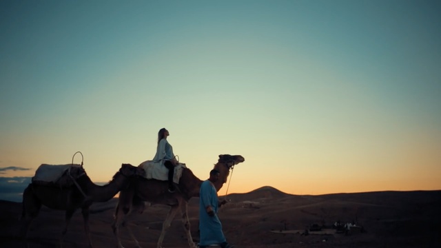 Video Reference: Camel, Desert, Natural environment, Sky, Sahara, Aeolian landform, Landscape, Camelid, Arabian camel, Erg