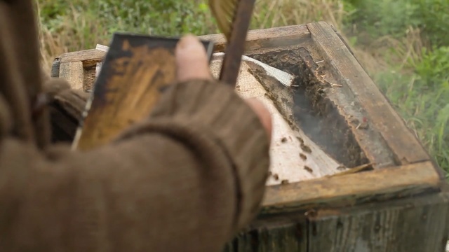 Video Reference: Wood