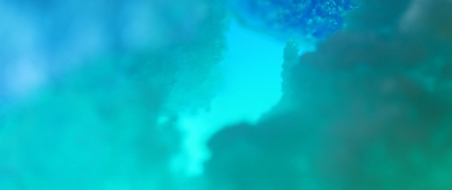 Video Reference: hammerhead, shark, fish, sea, underwater, ocean, reef, coral, diving, water, marine, tropical, aquatic, saltwater, dive, scuba