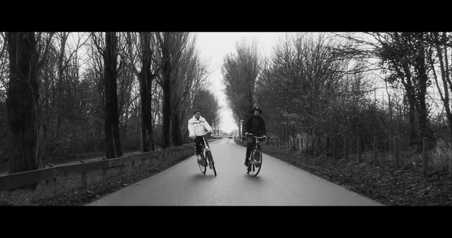 Video Reference: tree, white, black, photograph, nature, black and white, lane, woody plant, path, monochrome photography, Person