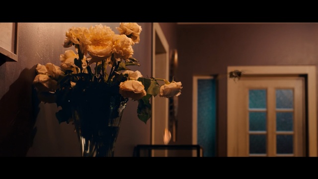 Video Reference: Flower, Yellow, Plant, Room, Still life photography, Floral design, Bouquet, Art, Window, Rose