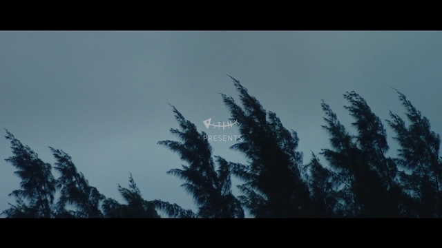 Video Reference: sky, tree, woody plant, atmosphere, geological phenomenon, morning, cloud, screenshot, forest, branch