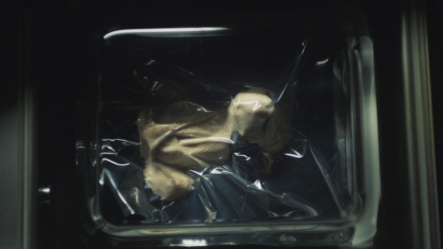 Video Reference: darkness, automotive design, glass, window