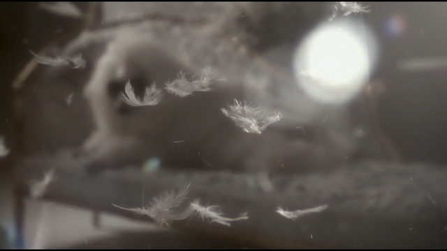 Video Reference: close up, atmosphere, darkness, sky, macro photography, smoke, water, computer wallpaper