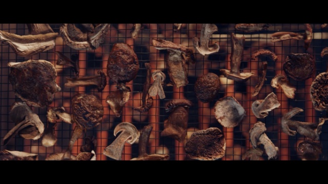 Video Reference: Art, History, Wood, Visual arts