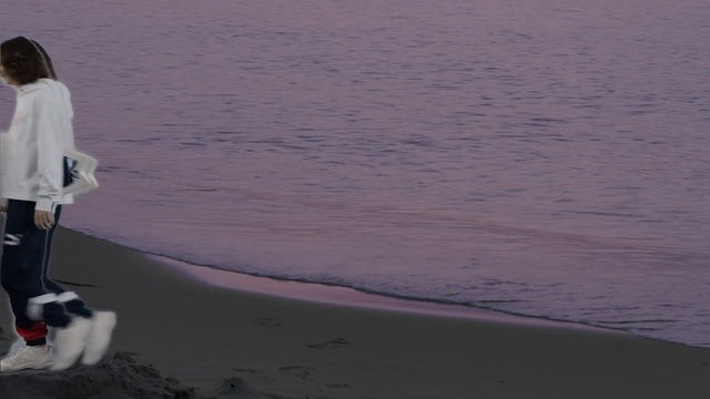 Video Reference: Sky, Sea, Canidae, Dog, Ocean, Beach, Sand, Sporting group, Coast, Carnivore, Water, Outdoor, Man, Standing, Looking, Woman, Young, Playing, White, Suit, Boy, Holding, Girl, Wearing, Walking, Surfing, Board, Game, Kite, Ball, Frisbee, Cat, Flying, Lake, Landscape, Nature, Shore