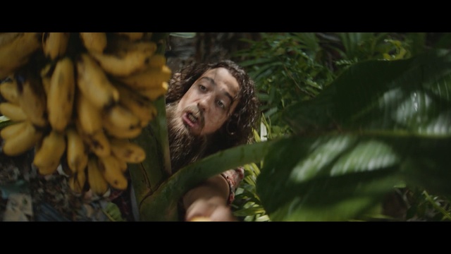 Video Reference: Jungle, Natural environment, Tree, Human, Forest, Leaf, Eye, Organism, Photography, Adaptation