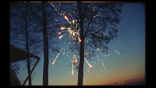 Video Reference: Nature, Sky, Tree, Atmospheric phenomenon, Lighting, Branch, Atmosphere, Evening, Night, Midnight