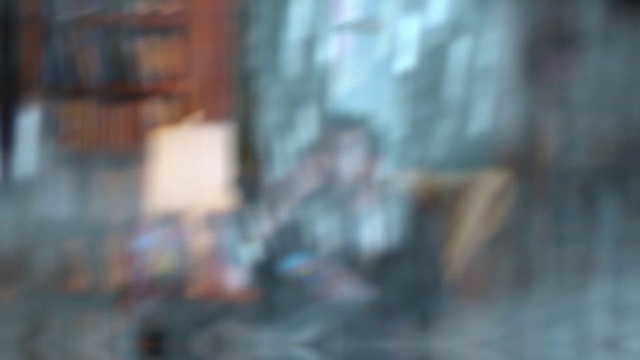 Video Reference: Snapshot, Wall, Wood, Organism, Tree, Room, Art, Photography, Floor, House