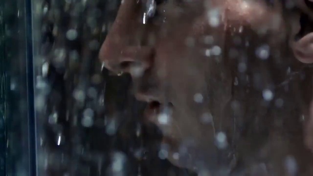 Video Reference: Water, Organism, Tree, Wildlife, Photography, Drop, Portrait