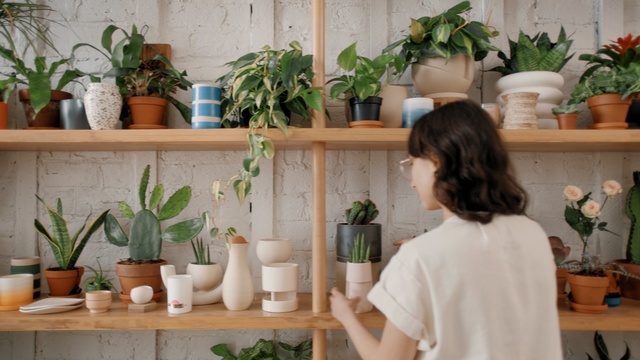 Video Reference: Flowerpot, Houseplant, Plant, Shelf, Herb, Flower, Shelving, Room, Fines herbes, Interior design, Person