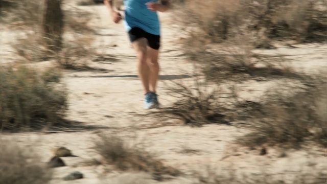 Video Reference: person, path, trail, running, tree, physical exercise, ultramarathon, recreation, fun, girl